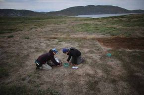 Julia Bradley-Cook (L) and Leehi Yona use a device to read the amount of CO2 that is being released from the warming ground on July 10, 2013 in Kangerlussuaq, Greenland.