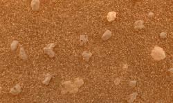 A closeup photo of mud granules