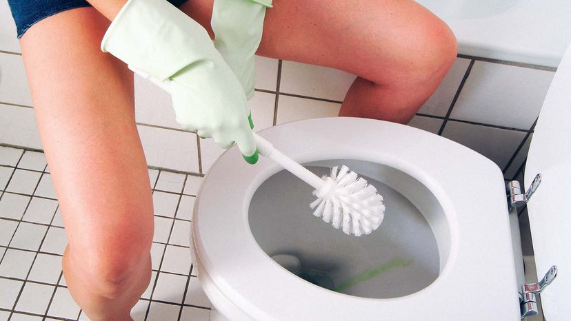 A person wearing rubber gloves and holding a toilet brush about to clean the toilet.&nbsp;