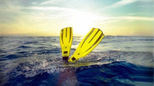 How can you dive 700 feet in one breath?