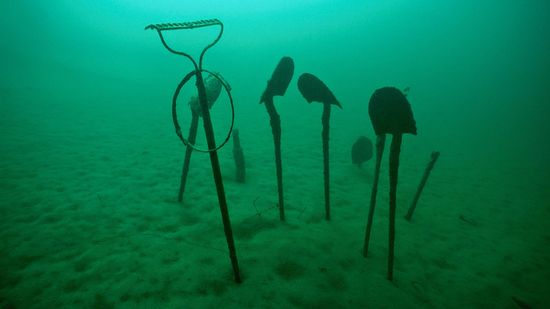 一些国家冰川公园最好的网站是在水下”class=