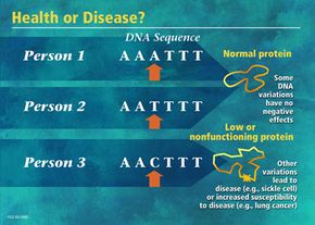 Dna Mutation, Variation And Sequencing - Dna Mutation | Howstuffworks