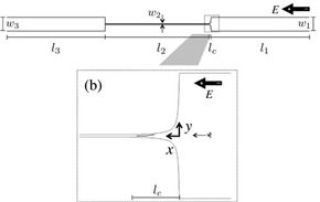A schematic of Doyle's proposed machine where W is width, L is length, E is electric field, X is horizontal motion and Y is vertical motion.
