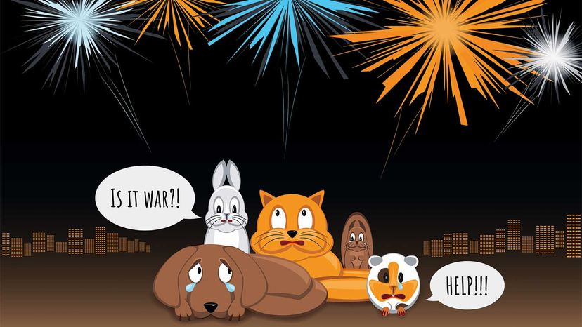 dogs and fireworks