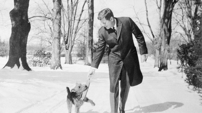 Kennedy, Charlie, dog