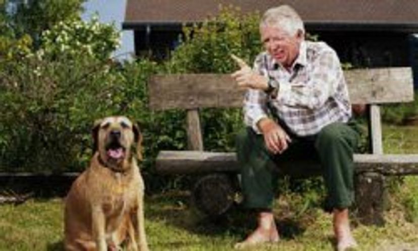 The Ultimate Dog Vocabulary Quiz