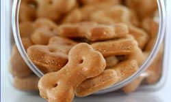 Why not treat your pooch to some homemade dog biscuits?