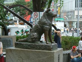 Hachiko的雕像，于1948年在Shibuya火车站竖立。“border=