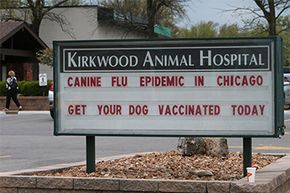 A Missouri animal hospital encourages people to vaccinate their dogs in April 2015. The U.S. Midwest was particularly hard hit by canine influenza.