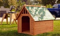 How to Build a Dog House | HowStuffWorks