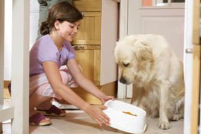 Girl feeding dog