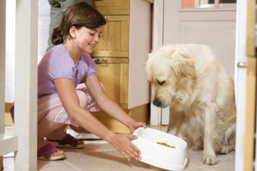 Girl feeding dog