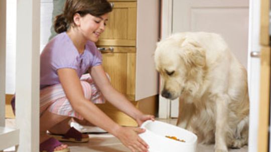 How do dogs' nutritional needs change as they age?