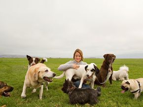 Woman with several dogs in field.