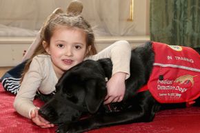 Cerys Davies and her dog Wendy. Wendy is part of the U.K. charity program Medical Detection Dogs, and is trained to detect blood sugar changes associated with type 1 diabetes.