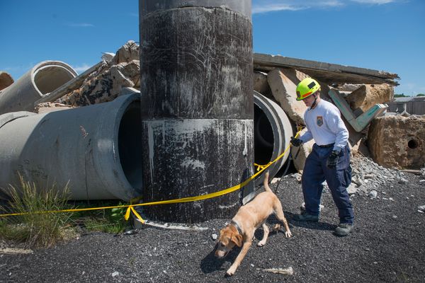 Search and rescue team Ron Sanders and canine Pryce prep for a training run in Lorton, Virginia.