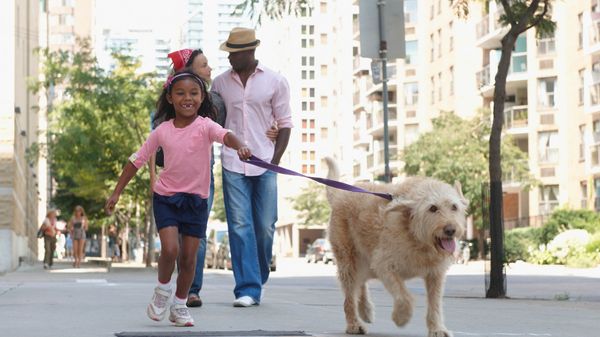 black family walking dog