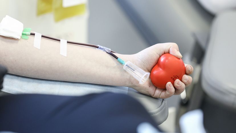 Person donating blood plasma