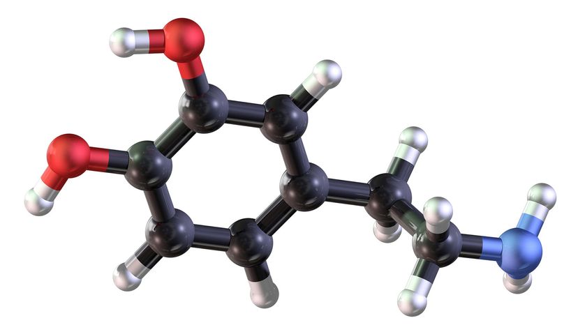 ball and stick  model of dopamine