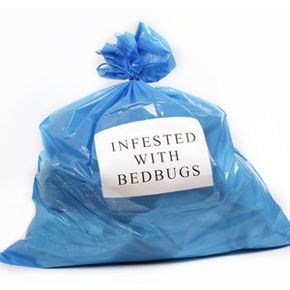 blue bag that says "infested with bedbugs"