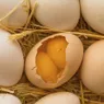 Why Are People Superstitious About Double-yolked Eggs?