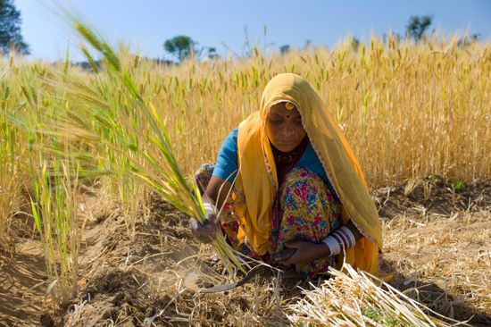 5 Ideas for Doubling the World's Food Supply