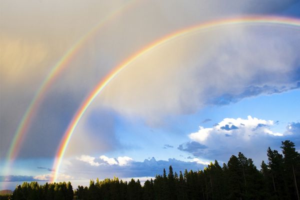 Double rainbow over trees