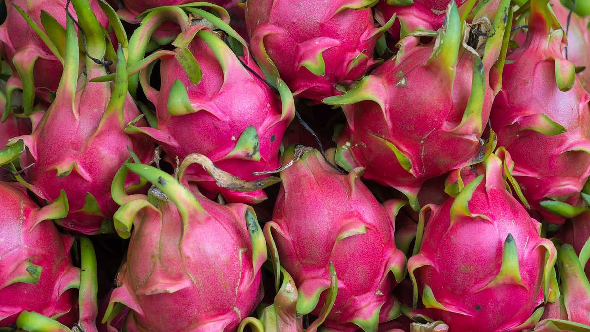 Why You Should Get Fired Up About Dragon Fruit HowStuffWorks