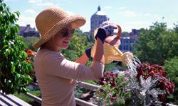 woman watering flowers