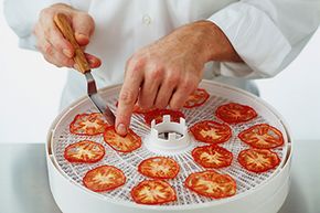 food on a dehydrator