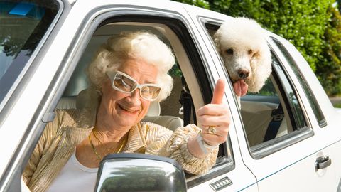 Should Licensed Drivers Be Tested Periodically? - Vimarsana News