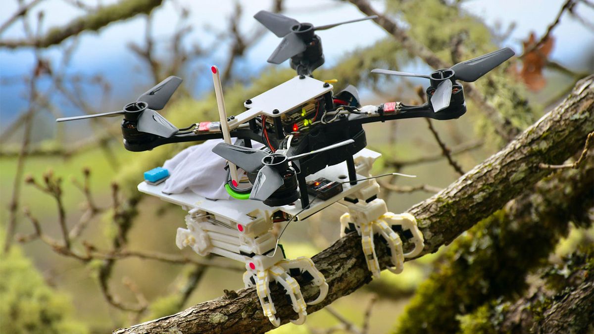 Robotic Drones Can Now Fly, Stop and Perch Just Like Birds HowStuffWorks