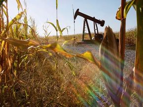 An oil well stands in the middle of an Illinois corn field. The state is now one of the country's leading ethanol producers.