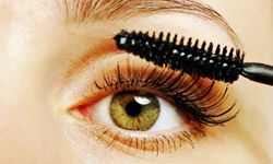 Many professional makeup artists use a drugstore brand mascara.