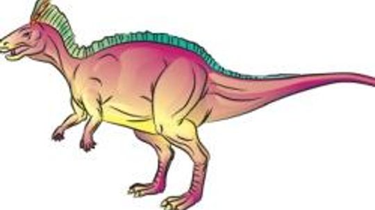 Dryosaurus