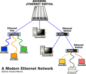 How does LAN Switches work?  Working & Benefits of LAN Switches