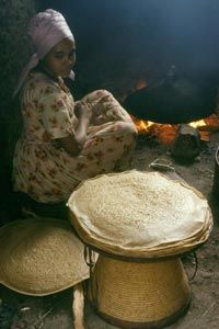 An Ethiopian woman is making injera bread over a eucalyptus wood fire.