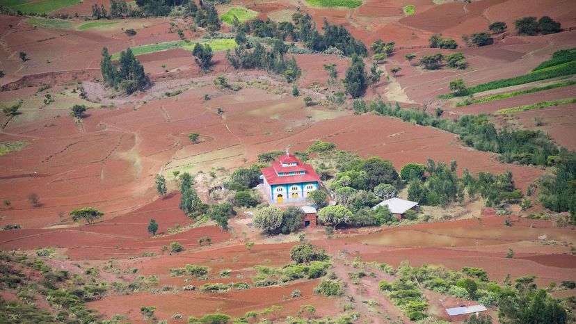 Ethiopian Orthodox church, forest