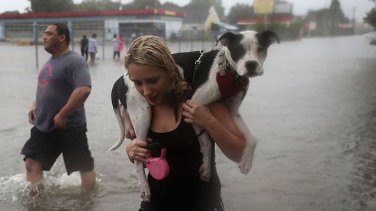 撤离者或难民:我们如何称呼因自然灾害而流离失所的人?＂width=