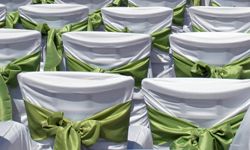 fabric-covered chairs