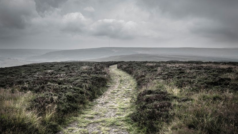 Path in the North York Moors National Park