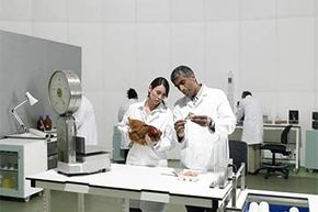 Scientists experiment on a chicken in a lab.