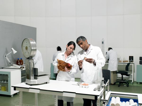 Doctors working in science lab, wearing lab coats.