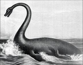 Plesiosaur