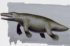 While they looked like a cross between modern crocodiles and hippos, these mammals actually helped paleontologists figure out how land creatures evolved to live in the sea.