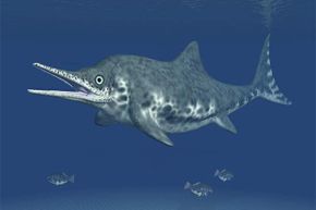 The Dearcmhara looked similar to this Ichthyosaur Stenopterygius.