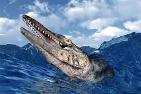 The Tylosaurus usually swallowed its prey whole.