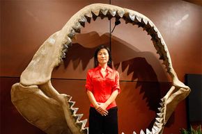 Enya Kim, from auctioneers Bonhams & Butterfields' natural history department, stands inside a set of shark jaws from the prehistoric species Carcharocles megalodon that grew to the size of a school bus.”border=