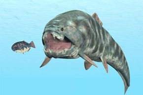 The Dunkleosteus had no teeth; it used two long blades to snap and crush its prey.