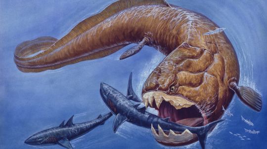 9 Extinct Exotic Sea Creatures
